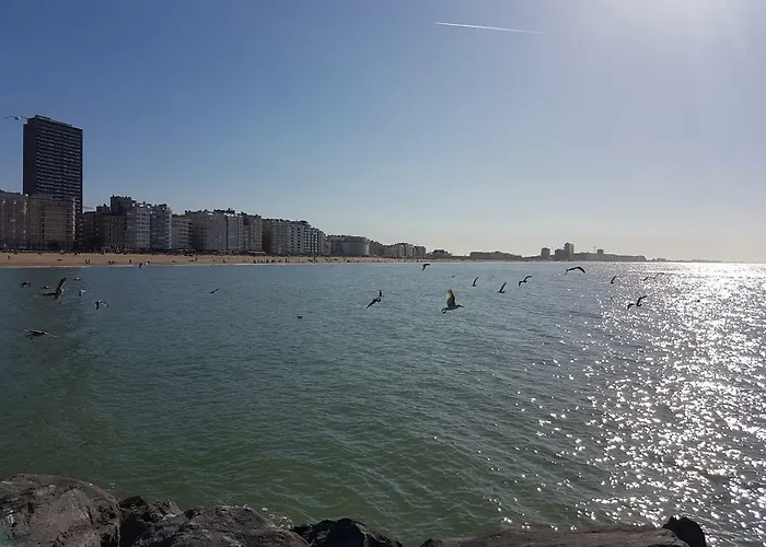 Marina Mercator Apartment *