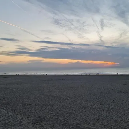 Marina Mercator 아파트