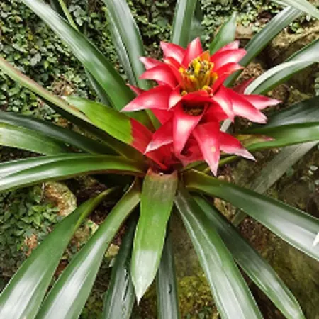 Marina Mercator Остенде