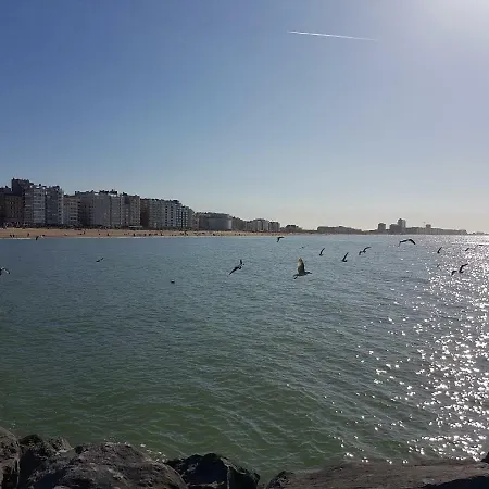 Marina Mercator Апартаменты *